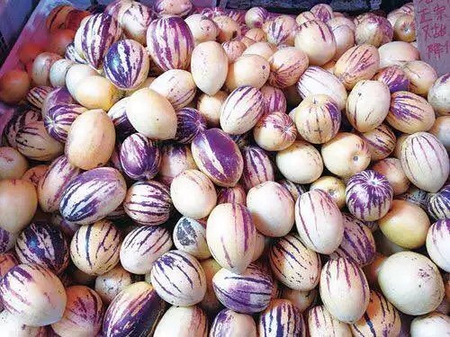 石林县花果 2 - 3两以上 