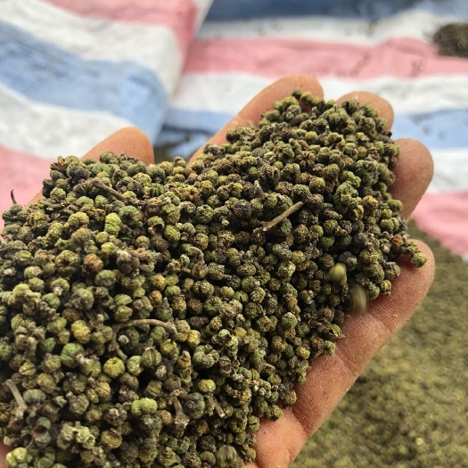 河池吴茱萸