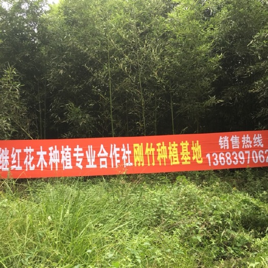 潢川县淡竹