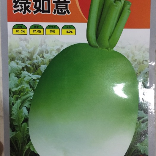 青萝卜种子 良种 