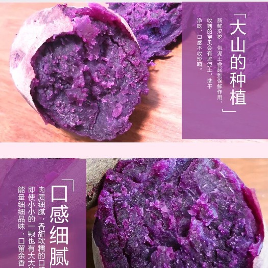 广州紫罗兰紫薯 2两以下