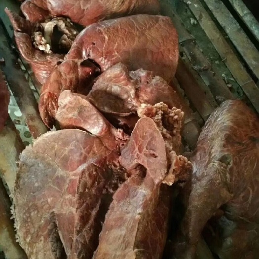 大厂县牛肺