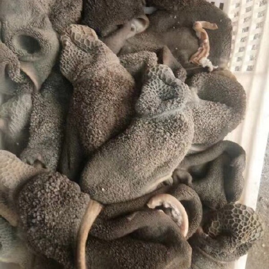 大厂县羊肚