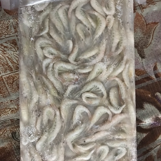 白虾