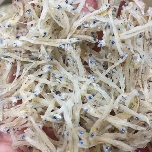 阳西县银鱼干 