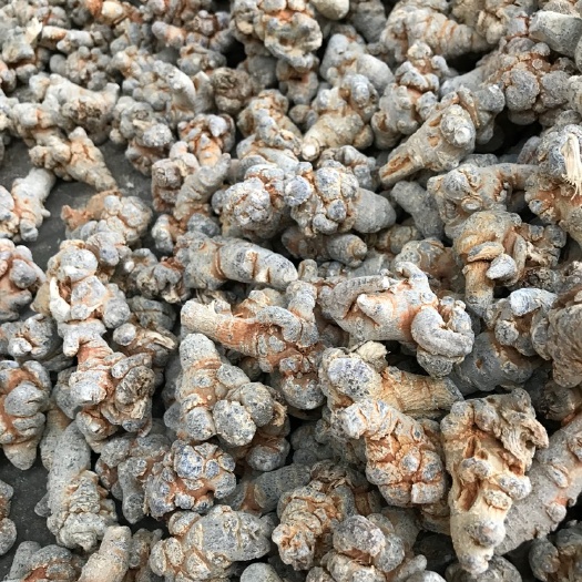 昆明三七 文山三七 云南文山三七 产地直销文山特产