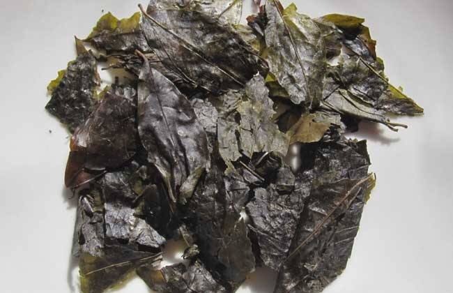 绥阳县苦丁茶 散装 二级