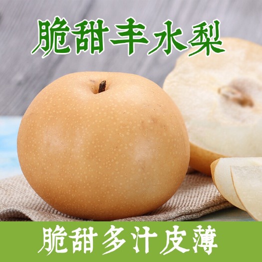 莱西市 2020新品丰水梨即将上市 350-400g 90mm以上