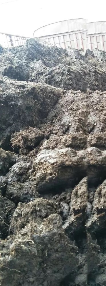 都江堰市草炭土