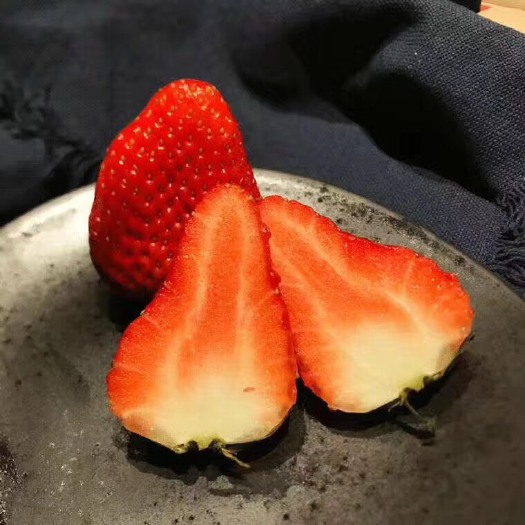 泰安甜查理草莓苗 地栽苗 10~20公分