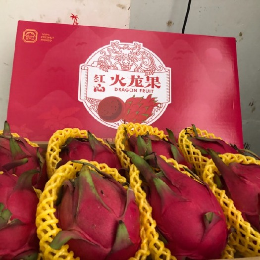 海口大红火龙果 特大（1斤以上）