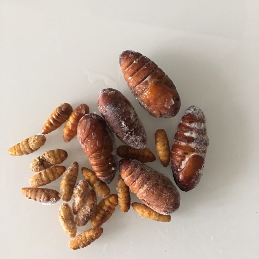 滁州蚕蛹鸡蛋 食用 散装