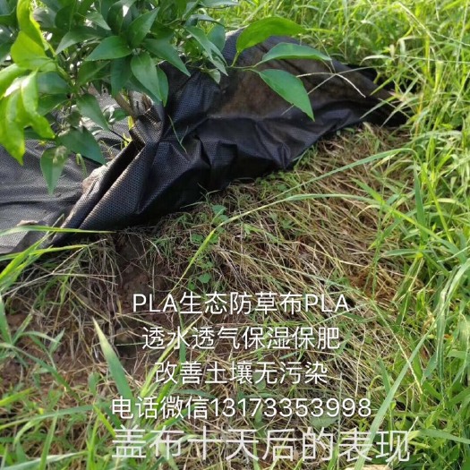 崇义县防草布