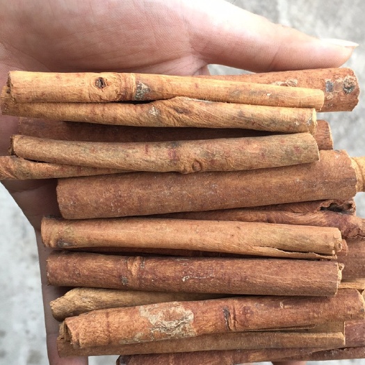 玉林烟仔桂