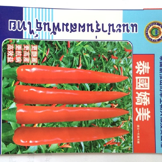 昆明朝天椒种子 95%以上 杂交种 