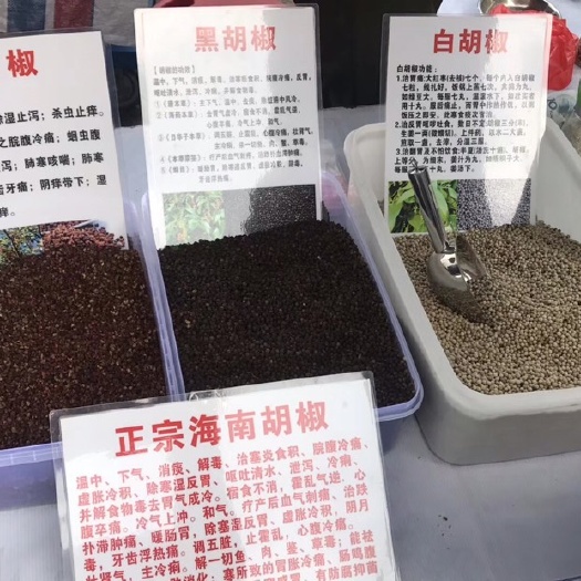 广州白胡椒