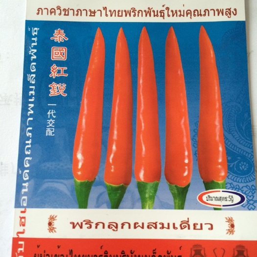 昆明朝天椒种子 95%以上 杂交种