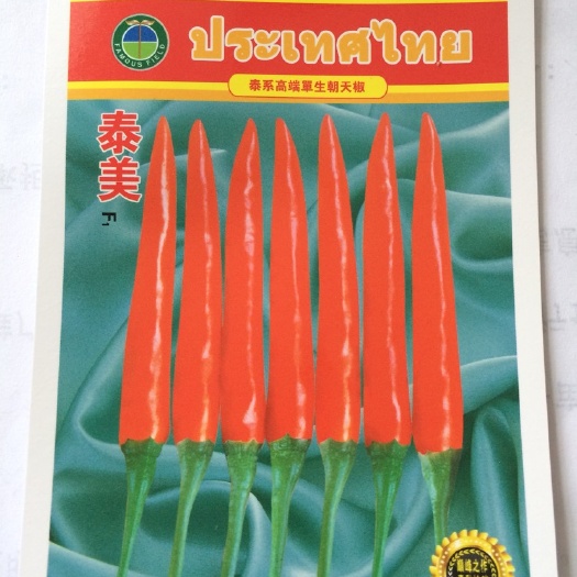 昆明朝天椒种子 95%以上 杂交种