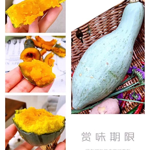 乌鲁木齐贵族南瓜 2~4斤 长条形