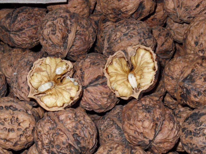 纸皮核桃