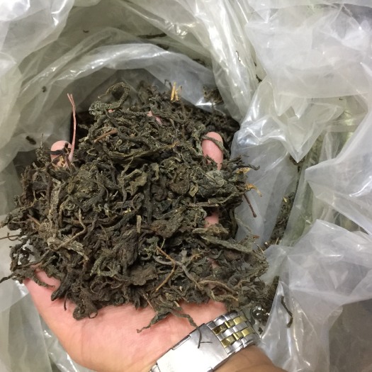 襄樊干香椿芽 24个月以上