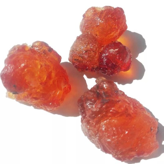 怀化黄桃胶 3-6个月 散装