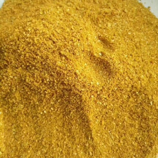 石家庄DDGS 喷浆玉米蛋白饲料 蛋白26 脂肪2-8 玉米酒糟