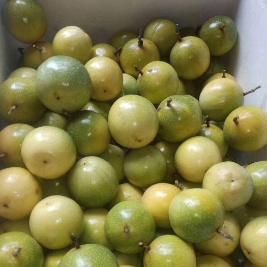 高州市黄金百香果 芭乐味黄金果 中果7-8-9个