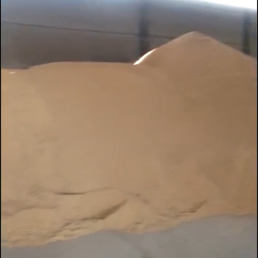望江县黄黄豆 生大豆 1等品
