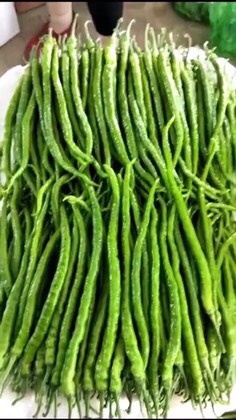 兰陵县线椒 15~20cm 中辣 靑色