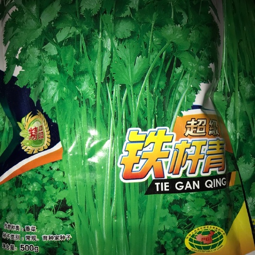临沂香菜种子