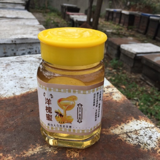 镇江洋槐蜂蜜 玻璃瓶装  2年以上 槐花蜜