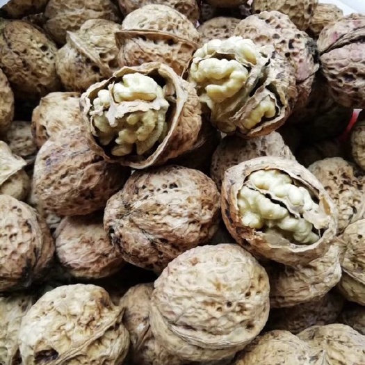 深圳山核桃