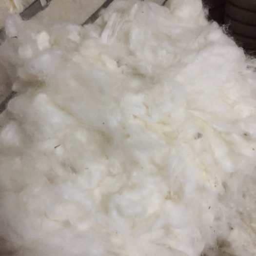 东至县皮辊棉