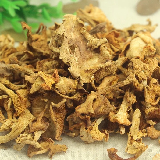 昆明 野生鸡油菌干货19年新货黄金菇野生菌菇量大从优