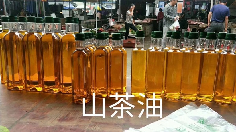 百色山茶油 压榨法