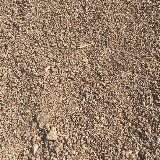 泗洪县牛粪  不含稻壳等杂质，不损伤根苗，不是最好的确是最合适的基肥