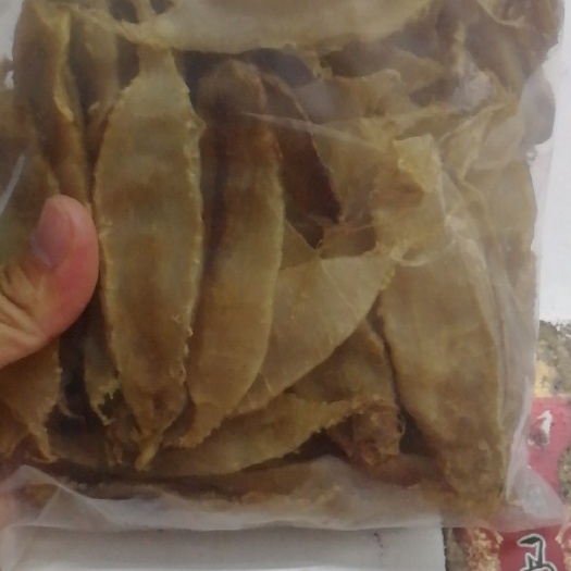 惠来县鳗鱼胶 