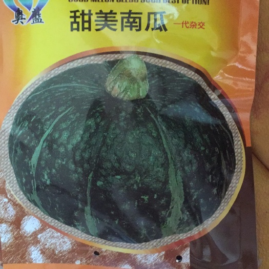 大荔县甘栗南瓜种子  板栗南瓜种子