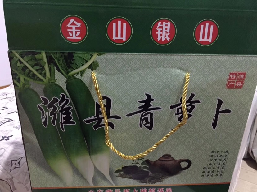 青皮萝卜 1~1.5斤