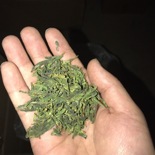 六安六安瓜片 散装 特级