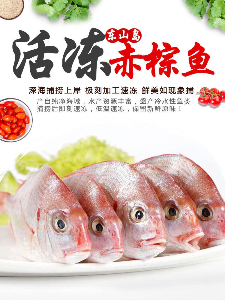东山县冻赤棕鱼，红立鱼，红雕鱼 来自大海的美味