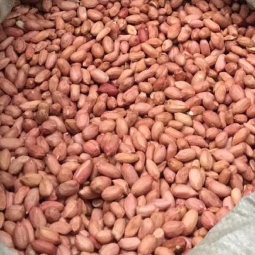 青岛熟榨纯花生油 
