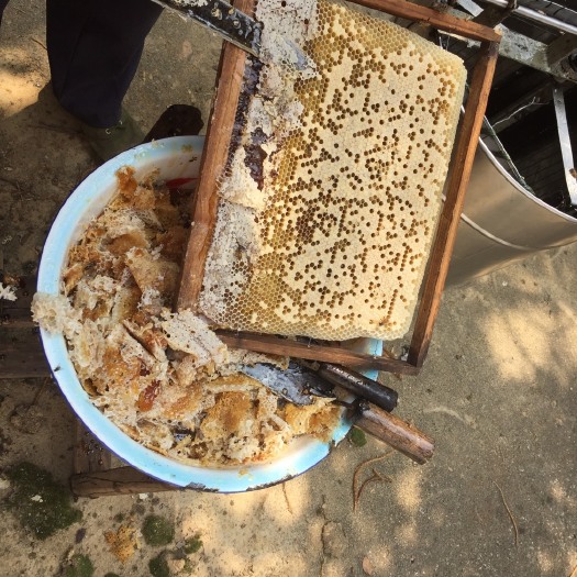 大埔县土蜂蜜