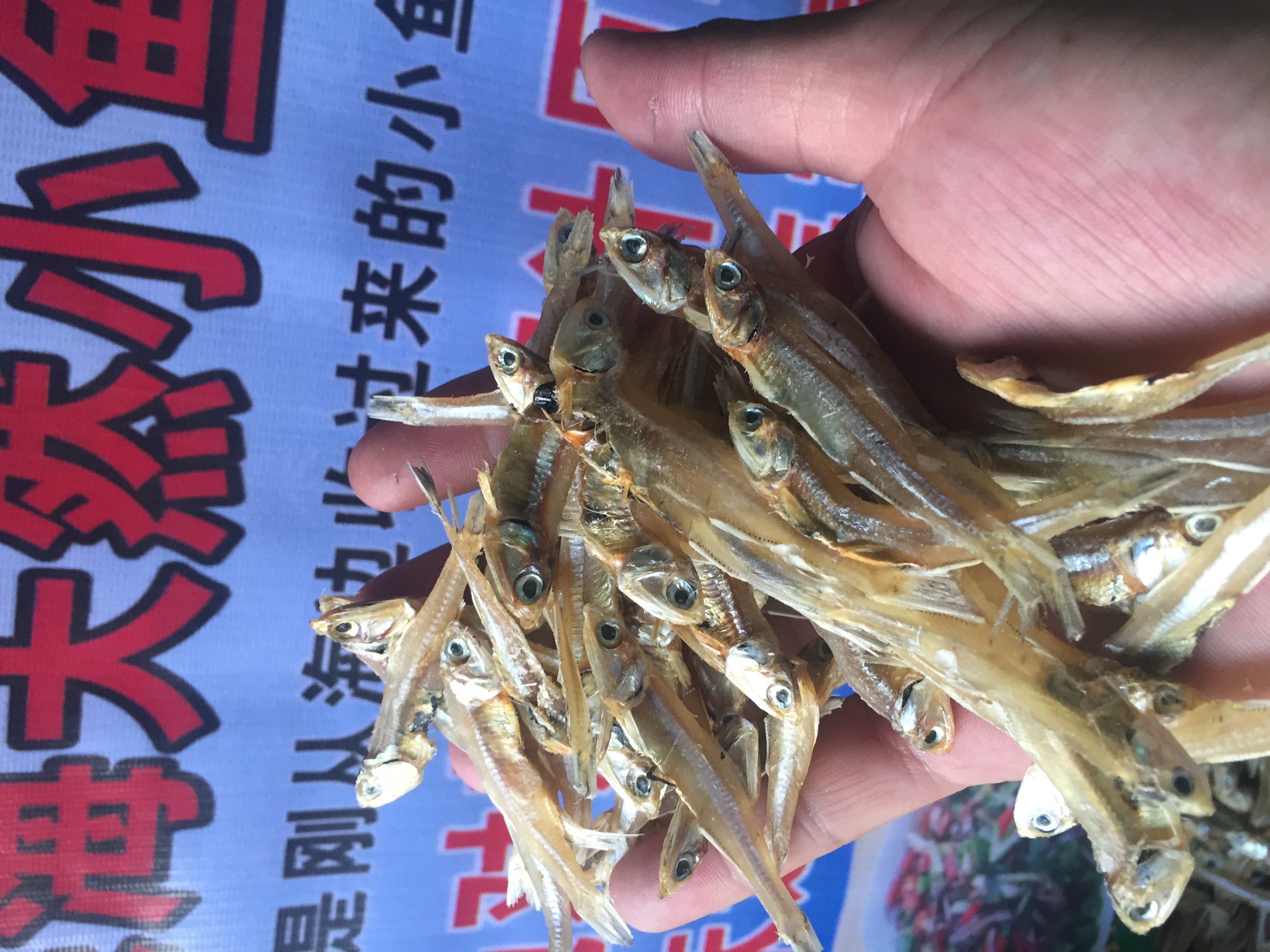 小魚干 