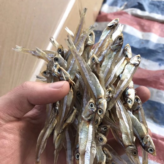 北海广西北海特产深海小鱼干，银鱼干，海燕鱼干晒场直供