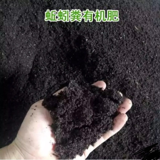 泗洪县蚯蚓粪 价格您说的算