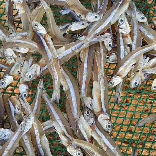 广州小鱼干，有淡干 有咸干