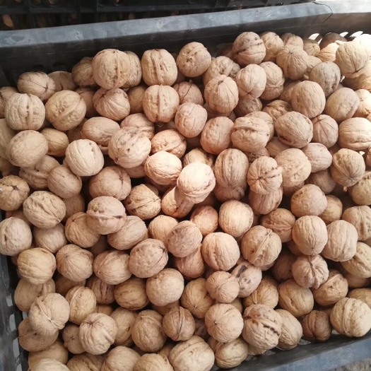 济南香玲核桃