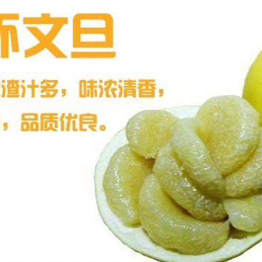  果园直发，现摘现发正宗玉环文旦柚